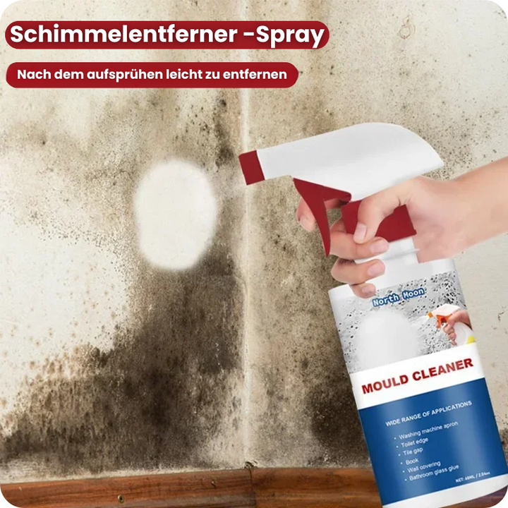 Mold Killer Spray - Schimmelentferner